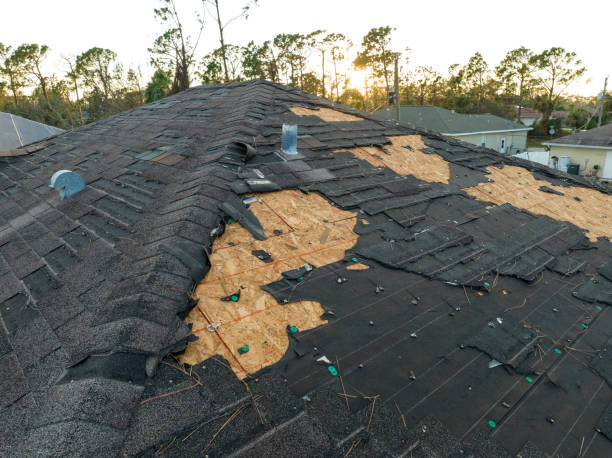 Best Roof Coating and Sealing  in Gonzales, CA